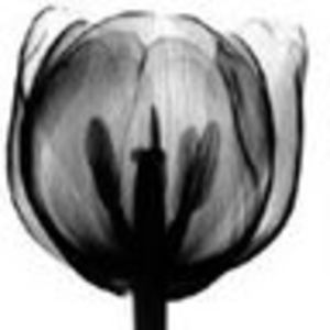 Meet your Posher, Vivian